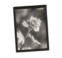 Image 10 of Rose T-shirt (LS RELIC 1)