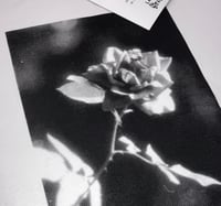 Image 11 of Rose T-shirt (LS RELIC 1)