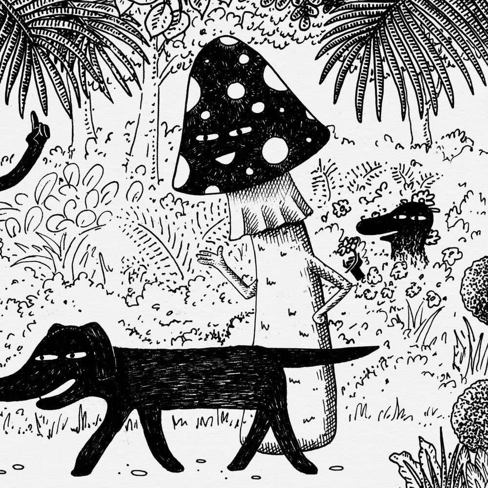 Image of A  Conversation