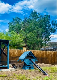 Image 4 of Chicken Tracks Ramp | Roost | Ladder | Bridge | Perch | 8 feet in length