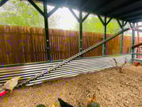 Image 2 of Chicken Tracks Ramp | Roost | Ladder | Bridge | Perch | 16 feet in length