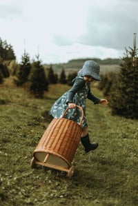 Image 11 of Polar bears - PRE-ORDER - BABY/CHILDRENS CLOTHING.