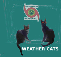 Image 3 of THE WEATHER IS HAPPENING WEATHER CATS UNISEX T-SHIRT