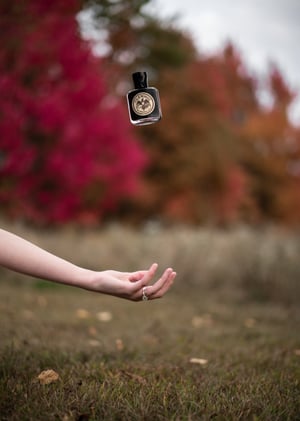 Image of The Wonderland II RUNNING LOW