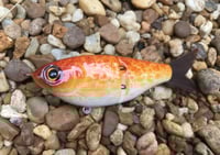 Image 1 of  Custom Airbrushed Glide Bait 4486