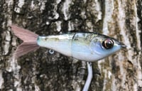 Image 3 of Custom Airbrushed Glide Bait 8411