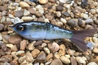 Image 1 of Custom Airbrushed Glide Bait 8411