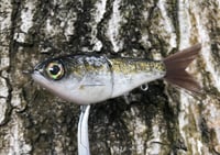 Image 2 of Custom Airbrushed Glide Bait 5355