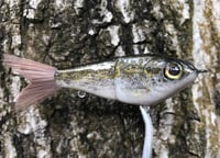 Image 4 of Custom Airbrushed Glide Bait 5355