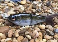 Image 1 of Custom Airbrushed Glide Bait 5355
