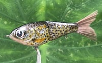 Image 6 of Custom Airbrushed Glide Bait 2847