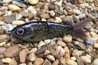 Image 1 of Custom Airbrushed Glide Bait 2847