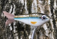 Image 3 of Custom Airbrushed Glide Bait 9816