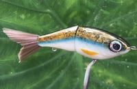 Image 7 of Custom Airbrushed Glide Bait 9816