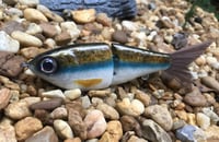 Image 1 of Custom Airbrushed Glide Bait 9816