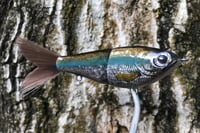 Image 2 of Custom Airbrushed Glide Bait 1234