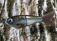 Image 2 of Custom Airbrushed Glide Bait 7695
