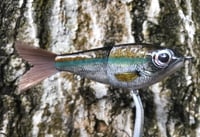 Image 4 of Custom Airbrushed Glide Bait 7695
