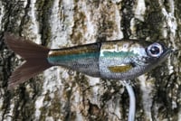 Image 5 of Custom Airbrushed Glide Bait 7695
