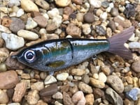 Image 1 of Custom Airbrushed Glide Bait 7695