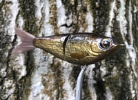 Image 3 of Custom Airbrushed Glide Bait 1527