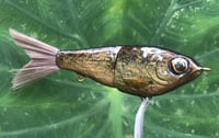 Image 7 of Custom Airbrushed Glide Bait 1527