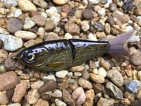 Image 1 of Custom Airbrushed Glide Bait 1527