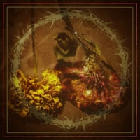 Fire In The Blood - This Place Is Barren CS