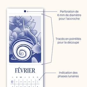 Botany 26 // PRÉCOMMANDE