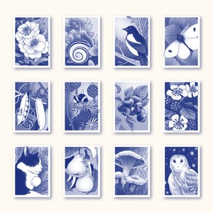 Botany 26 // PRÉCOMMANDE