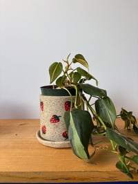 Image 4 of Strawberry planter + saucer
