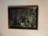 Image 3 of Lithoflora – Verdant Apparition