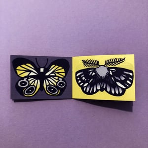 Papillons Papillons Papillons