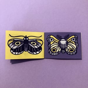 Papillons Papillons Papillons