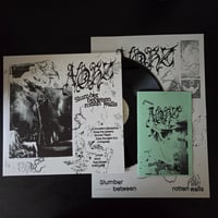 Image 2 of OUT NOW - NOHZ "Slumber Between Rotten Walls" LP