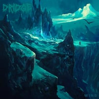 Image 1 of OUT NOW - DRIDGE "Wind" LP