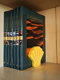 Image 9 of 🌊✨ Seashell Bookend – A Coastal Touch of Elegance & Function! ✨🌊