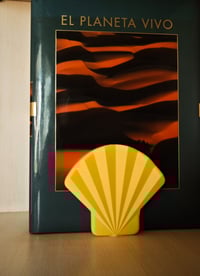 Image 10 of 🌊✨ Seashell Bookend – A Coastal Touch of Elegance & Function! ✨🌊