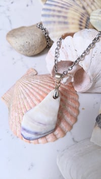 Image 3 of Cape Cod Plum Purple Colored Quahog Clam Shell Pendant on 19in Nickel Free Silver Chain