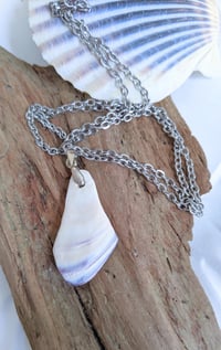 Image 5 of Cape Cod Plum Purple Colored Quahog Clam Shell Pendant on 19in Nickel Free Silver Chain