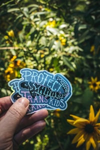 Image 3 of PROTECT TRANS KIDS sticker