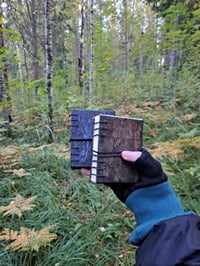 Image 1 of Pocket saplings