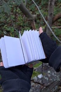 Image 3 of Pocket saplings