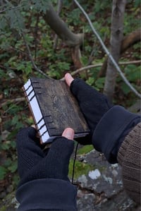 Image 2 of Pocket saplings