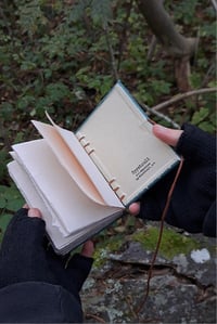 Image 2 of "Torvijäkälä" pocket book