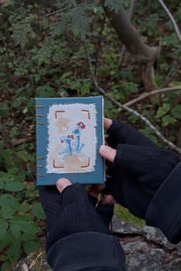 Image 4 of "Torvijäkälä" pocket book