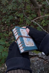 Image 3 of "Torvijäkälä" pocket book