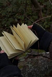 Image 3 of "Korpirahkasammal" pocket book