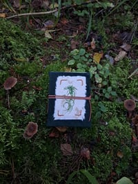 Image 1 of "Korpirahkasammal" pocket book