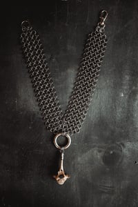 Image 3 of Raccoon vertebra and chainmail necklace